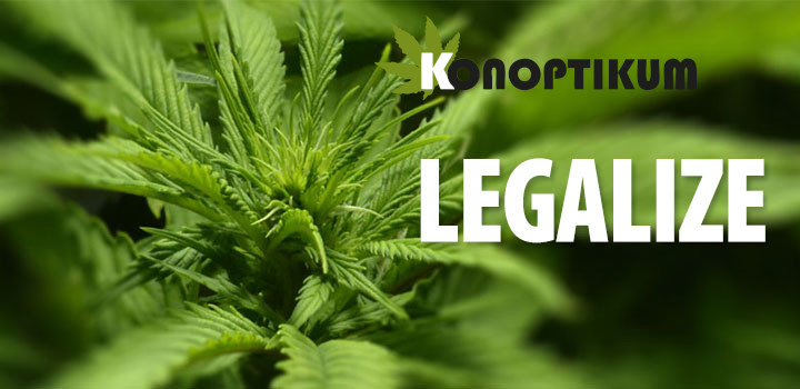 legalizace_pocesku01_n