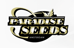 paradiseseed
